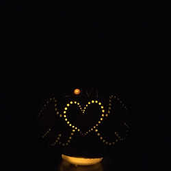 世界に1個のひょうたんランプ(*´꒳`*)LOVE&PEACE 3枚目の画像