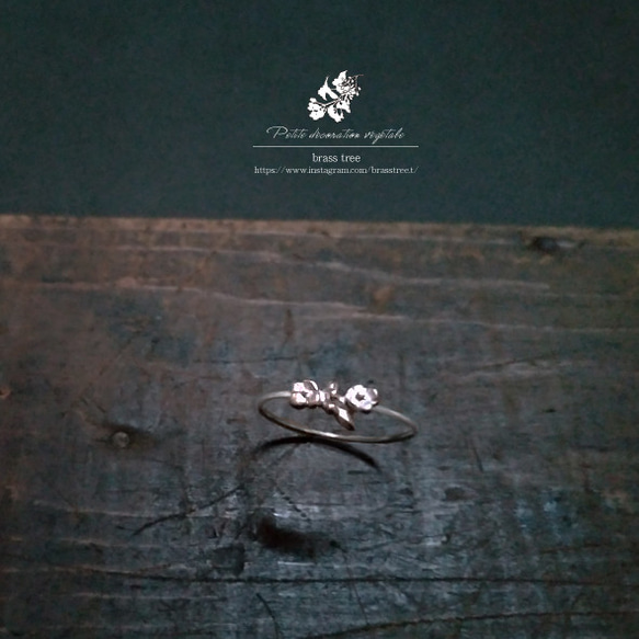 [小さなお花シリーズ]　オオイヌノフグリのシルバー925リング 1枚目の画像