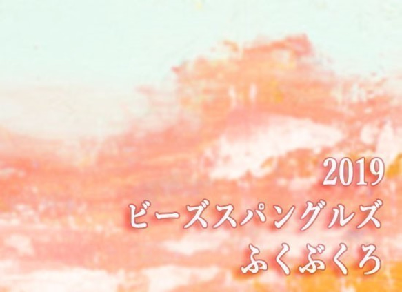 【スパンコール福袋 →メタリック袋】2019年ビーズスパングルズ福袋　予約商品･発送は2019年1月4日～･返品交換不可 1枚目の画像