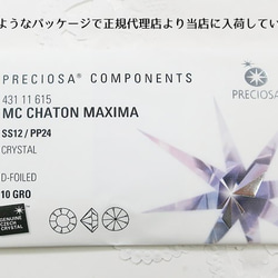 【チェコ製・プレシオサ】Vカット 埋込型pp24(約3.1mm)　モノトーン系ミックス40粒入 4枚目の画像