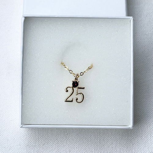 ナンバーネックレス 数字「25」 (石→誕生月)(数字→誕生日