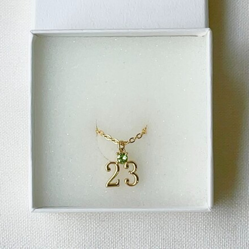 ナンバーネックレス 数字「23」 (石→誕生月)(数字→誕生日