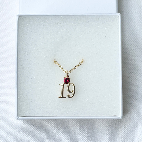 ナンバーネックレス 数字「19」 (石→誕生月)(数字→誕生日 