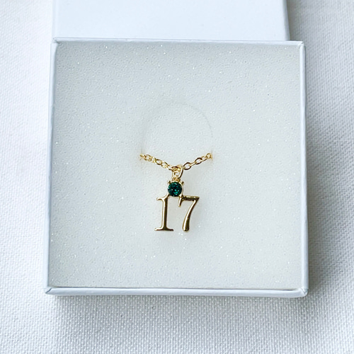 ナンバーネックレス 数字「17」 (石→誕生月)(数字→誕生日 