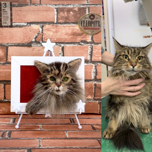 羊毛フェルト 羊毛フェルトオーダー うちの子フレーム 羊毛フェルト犬