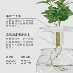 2つになる︱植物ギフト付き水耕鉢植え水耕植栽ガラスレザーストラップ（無料カスタマイズ） 4枚目の画像