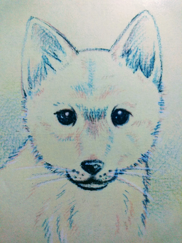 似顔絵描きます(^^)/可愛いワンコ、ニャンコ(^^)v 4枚目の画像