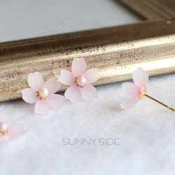 【ソメイヨシノ】桜の花のピアス 1枚目の画像