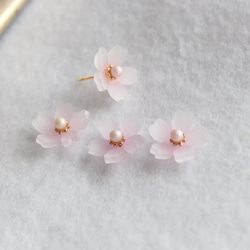 【ソメイヨシノ】桜の花のピアス 5枚目の画像