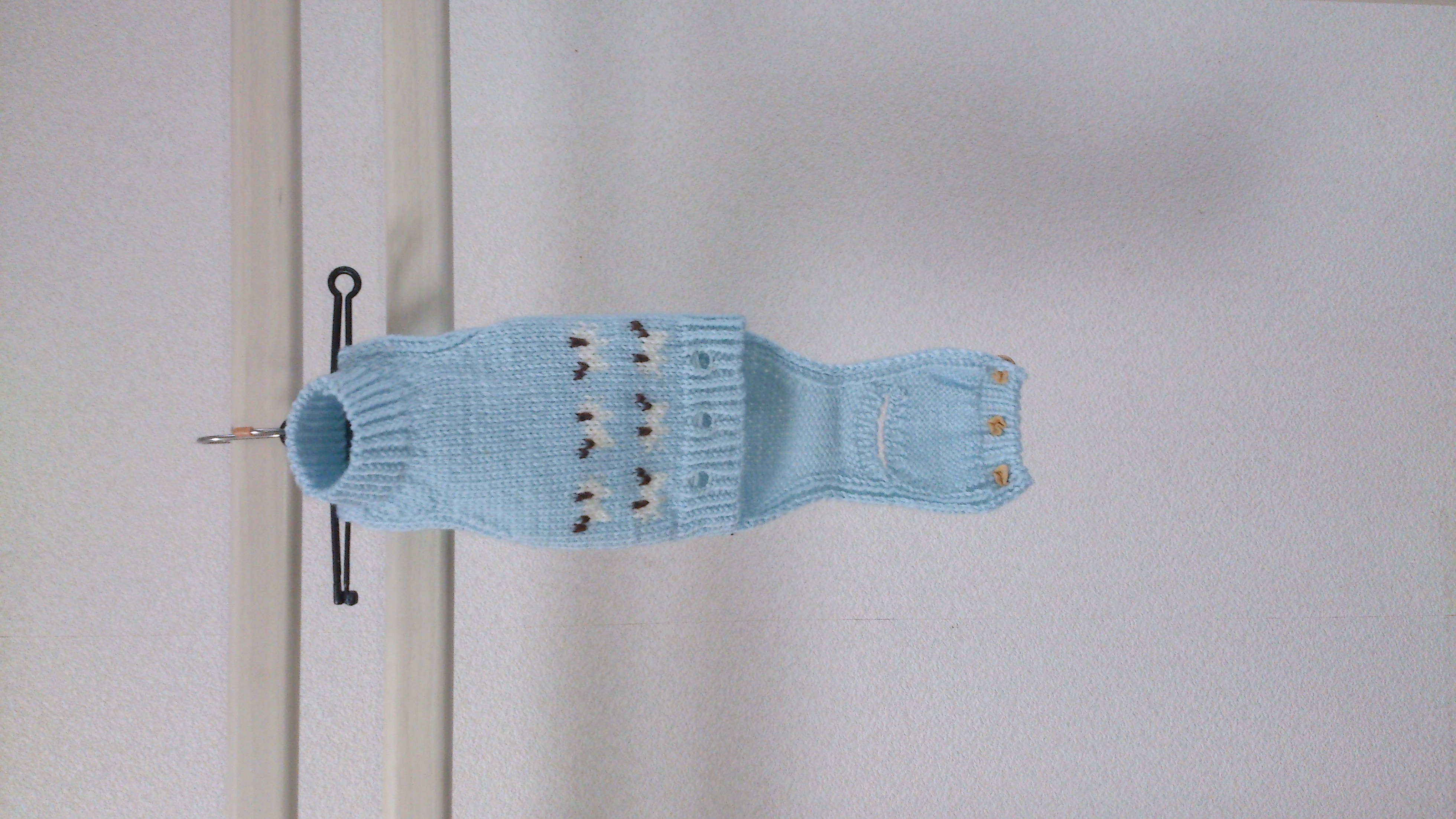 小型犬のボディースーツ