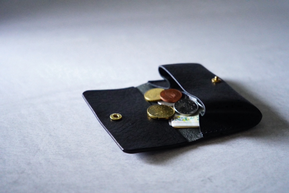 Coin case_L_bk