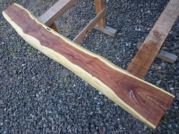 エンジュ 槐 延寿 工芸 彫刻 銘木 希少材 NO7 木材・板 こうきち 通販