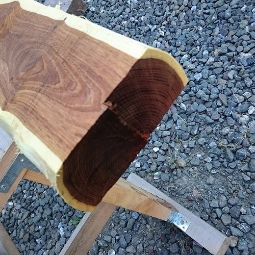 エンジュ 槐 延寿 工芸 彫刻 銘木 希少材 NO7 木材・板 こうきち 通販