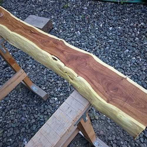 エンジュ 槐 延寿 工芸 彫刻 銘木 希少材 NO7 木材・板 こうきち 通販