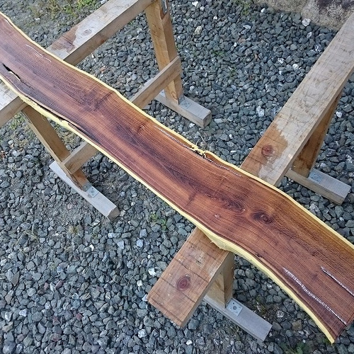 エンジュ 槐 延寿 工芸 彫刻 銘木 希少材 NO9 木材・板 こうきち 通販