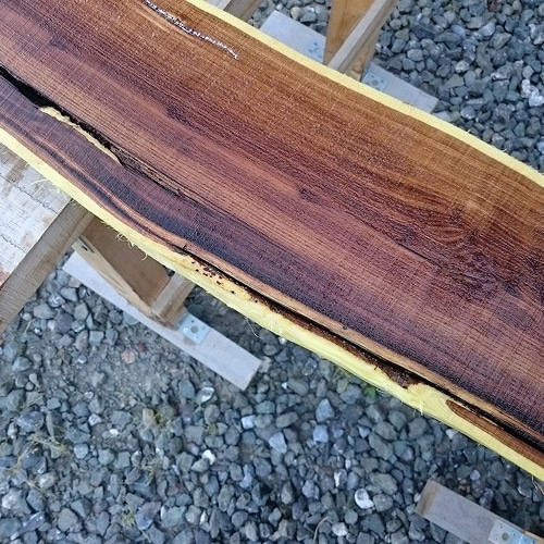 槐(エンジュ)工芸品◎杢目が素晴らしい‼️ エンジュ 槐 延寿 工芸 彫刻 銘木 希少材 NO9 木材・板 こうきち