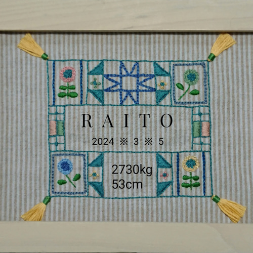 バイブル(聖書)ストーリー刺繍キルト バイブル(聖書)ストーリー刺繍キルト - メルカリ