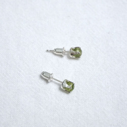 ll 9月誕生石 ll 4mm橄欖石 - 925純銀耳針耳環 / 一對 附銀耳扣 第5張的照片