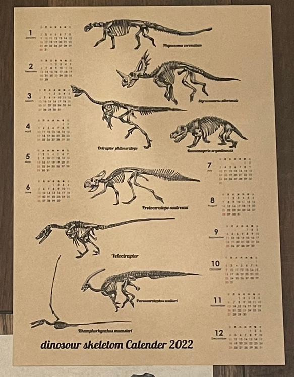 恐竜スケルトン年間カレンダー2022 1枚目の画像