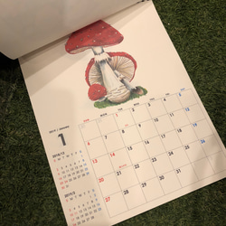 2019  きのこ 壁掛けカレンダー A4 6枚目の画像