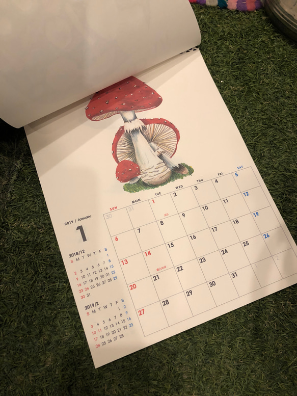 2019  きのこ 壁掛けカレンダー A4 6枚目の画像