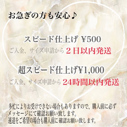 No.93⭐︎トレンド　花嫁　ミラー　ニュアンス　ブライダル　オフィス　ウェディング　個性　シェル　ネイルチップ 3枚目の画像