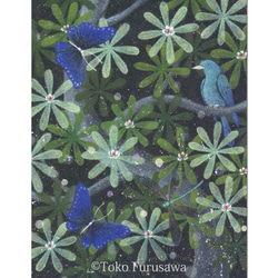 絵画「星と森の言霊」 絵画 杜宇子 通販 10976410｜Creema(クリーマ)
