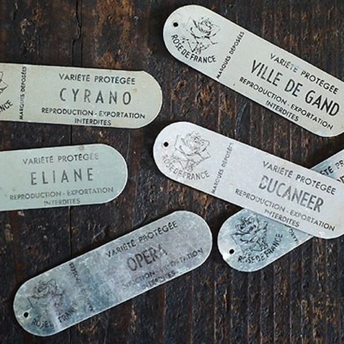 フランス アンティーク アルミプレート フランスアンティーク/アルミプレート/VARIETE PROTEGEE DIYパーツ