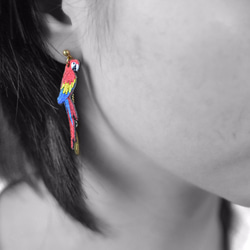 humming-紅黃金剛鸚鵡 Embroidery earrings 〈刺繡耳環〉不鏽鋼耳針/ 可改夾式 第4張的照片