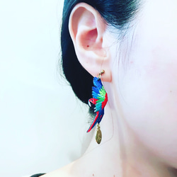 humming-綠翅金剛鸚鵡 Embroidery earrings 〈精緻刺繡耳環〉不鏽鋼耳針/ 可改夾式 第3張的照片