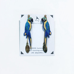 humming-藍黃金剛鸚鵡  Embroidery earrings 〈精緻刺繡耳環〉不鏽鋼耳針/ 可改夾式 第1張的照片