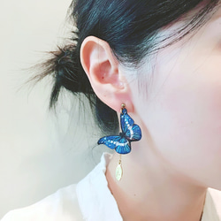 humming-光明女神閃蝶 Embroidery earrings 〈刺繡耳環〉不鏽鋼耳針/ 可改夾式/蝴蝶系列/ 第5張的照片