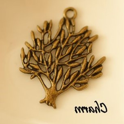 C5 /魅力古董耀金子木樹（5） 第1張的照片