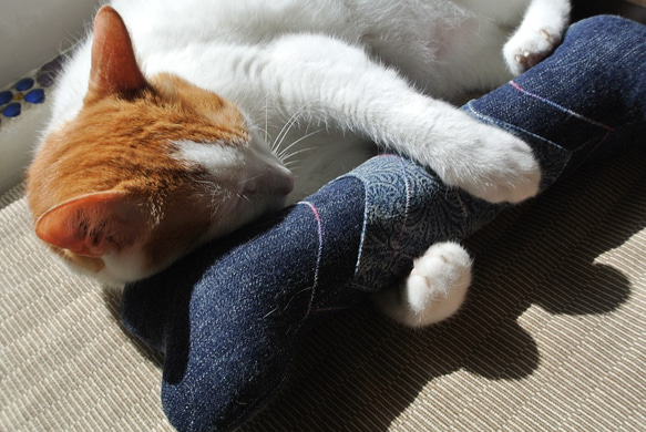 新しいデニムスカルボーンモデル猫草バッグ枕グッズ 3枚目の画像