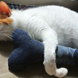 新しいデニムスカルボーンモデル猫草バッグ枕グッズ 4枚目の画像
