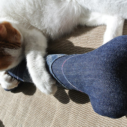 新しいデニムスカルボーンモデル猫草バッグ枕グッズ 5枚目の画像