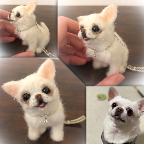 NEW【重要】9月から新料金！リニューアルのお知らせ 羊毛フェルト Felt 