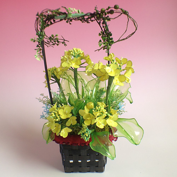 胡蝶蘭♡ホワイト♡鉢植え♡アメリカンフラワー♡ディップアート