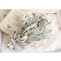 ラムズイヤー　ヘッド　ドライフラワー 0_4bcb54decb2fabfaaf1a970efe65