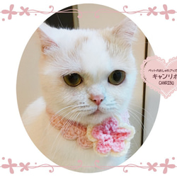 じゃれねこ『藤の花』1ペアのみ★再販なし‼️ じゃれねこ『藤の花』1ペアのみ☆再販なし‼️