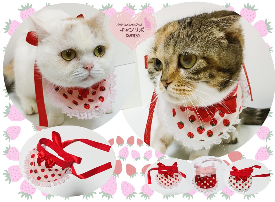 プッチ、春いちご(グリーン)わんちゃん猫ちゃん用襟付き首輪