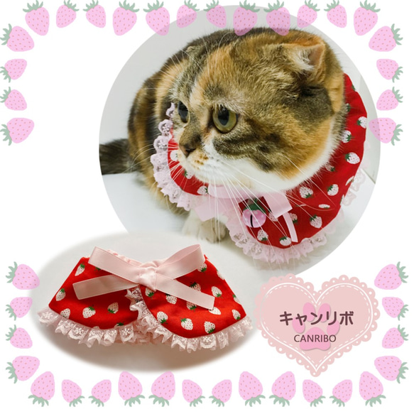 猫 首輪 フリフリ苺 パッチンケープ ピンク苺 リード・首輪 キャンリボ  