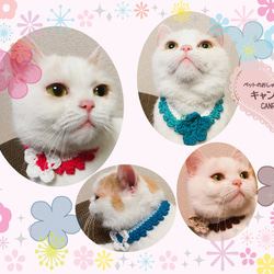 【年中快適♪サラふわ】じょうぶなコットン糸のお花の首飾り♪猫、犬、ペット用 1枚目の画像