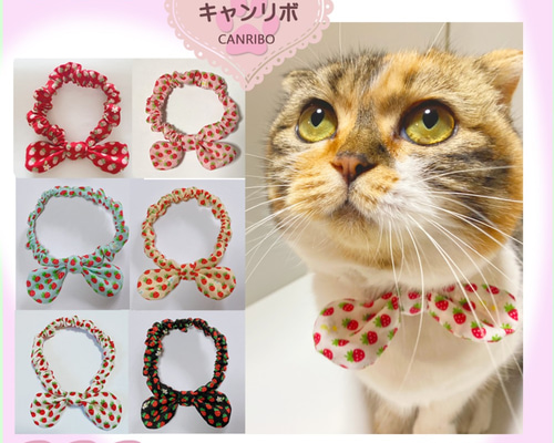 春いちご(ホワイト③)わんちゃん猫ちゃん用襟付き首輪 （楽天