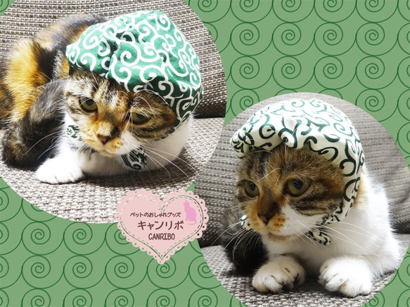 【送料無料】猫 首輪 定番 唐草模様 ほっかむり  帽子 犬 ペット用 1枚目の画像