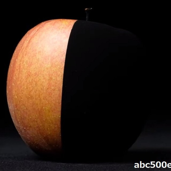 【おためしサイズ!】世界一黒い 真・黒色無双 10g 1個 超低反射塗料/筆塗/エアブラシ/水性/真・黒色無双 レジン・樹脂 abc500en ...