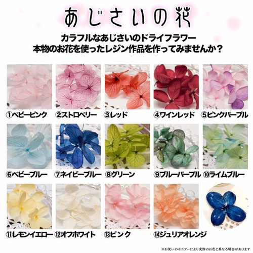 あじさいの花（ドライフラワー）2セット /レジン/UVレジン/ 樹脂