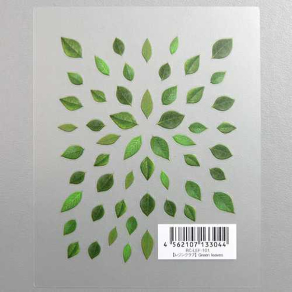 【Green leaves】1枚 　両面シール/レジン/封入/レジンクラブ 2枚目の画像