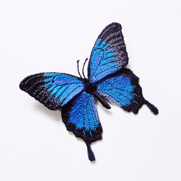 刺繡蝴蝶。天堂鳳蝶 Papilio ulysses 大型 別針 第1張的照片