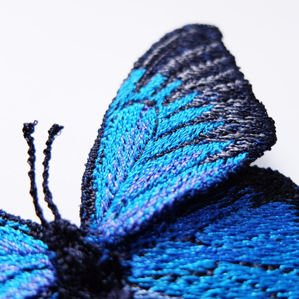 刺繡蝴蝶。天堂鳳蝶 Papilio ulysses 大型 別針 第2張的照片